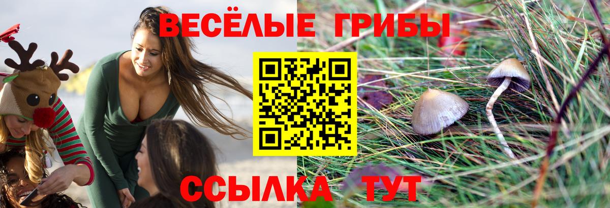Псилоцибиновые грибы Magic Shrooms  Вход с VPN  Лосино-Петровский 